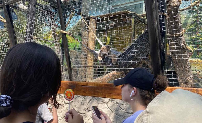 Международный Летний Лагерь 2022 – Cессия „Survivor” - image 63