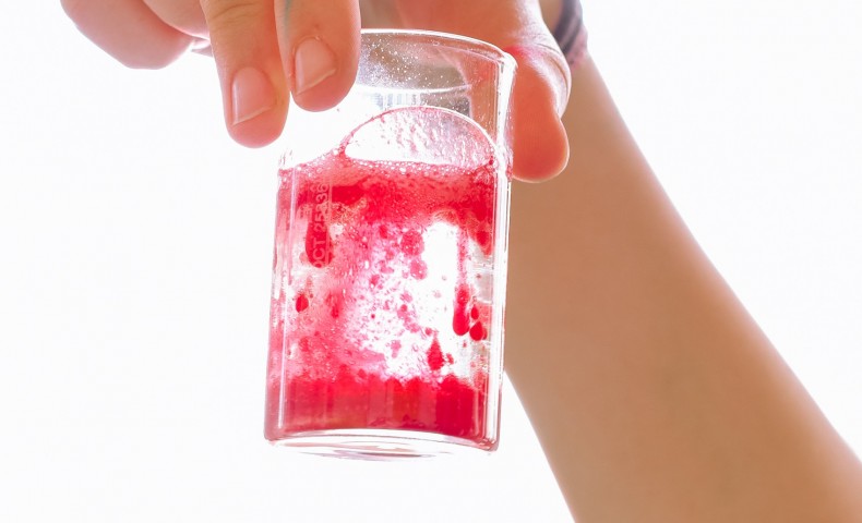 Science Fair 2025 - image 19