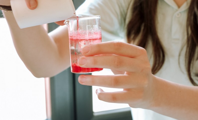 Science Fair 2025 - image 18