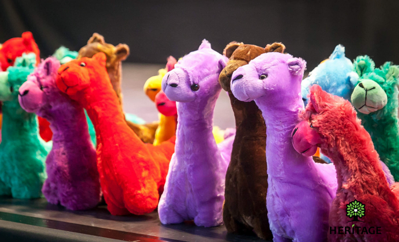 "World Scholar's Cup" Chisinau Round - image 15