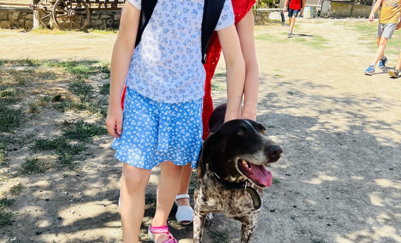 Международный Летний Лагерь 2022 – Cессия „A ticket to…” - image 96