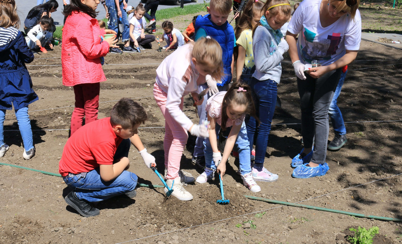 Earth Day - image 29