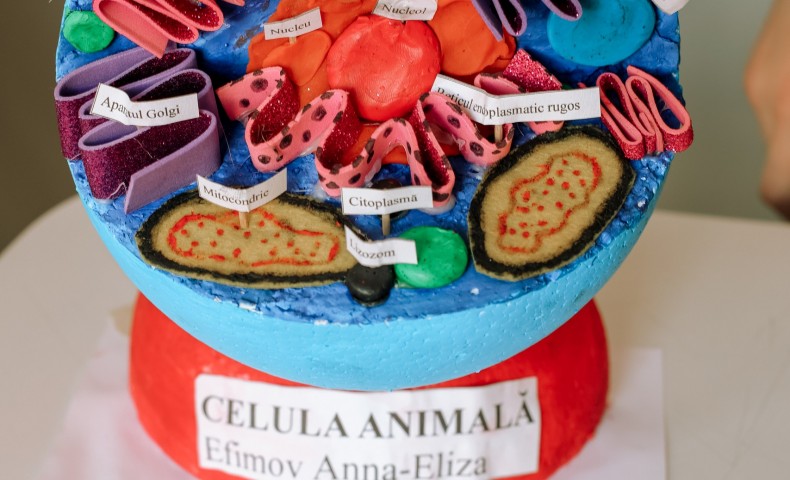 Science Fair 2025 - image 45