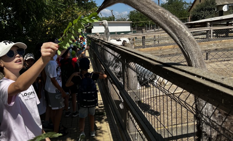 Международный Летний Лагерь 2022 – Cессия „A ticket to…” - image 92