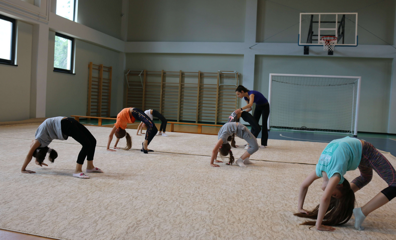 Gymnastics - image 1