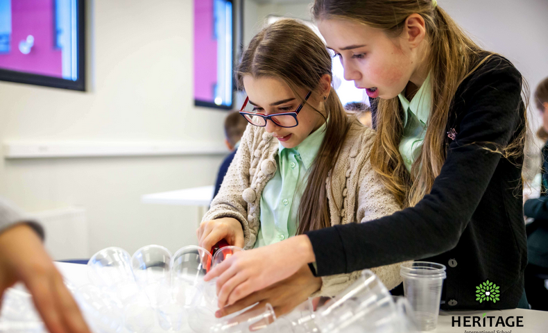 STEM Education - image 16