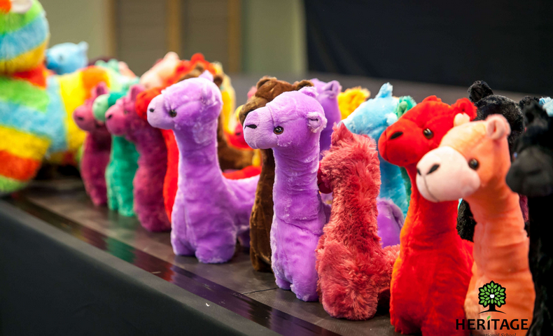 "World Scholar's Cup" Chisinau Round - image 53