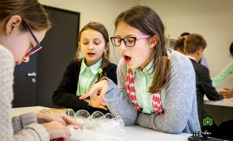 STEM Education - image 1