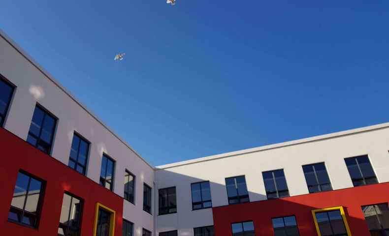 International Peace Day - image 1