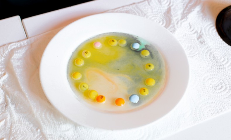 Science Fair 2025 - image 2