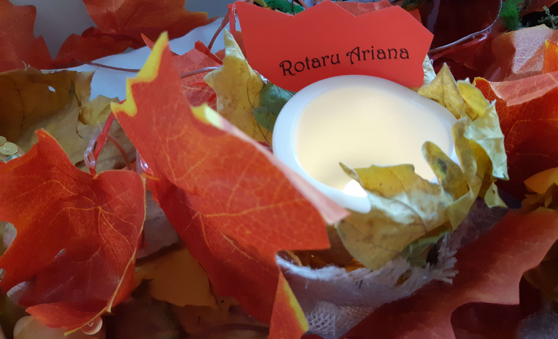 "Golden Autumn" 2018 - image 82