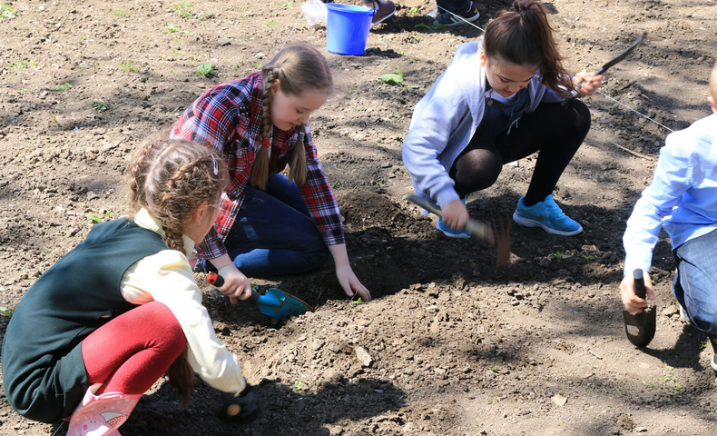 Earth Day - image 12