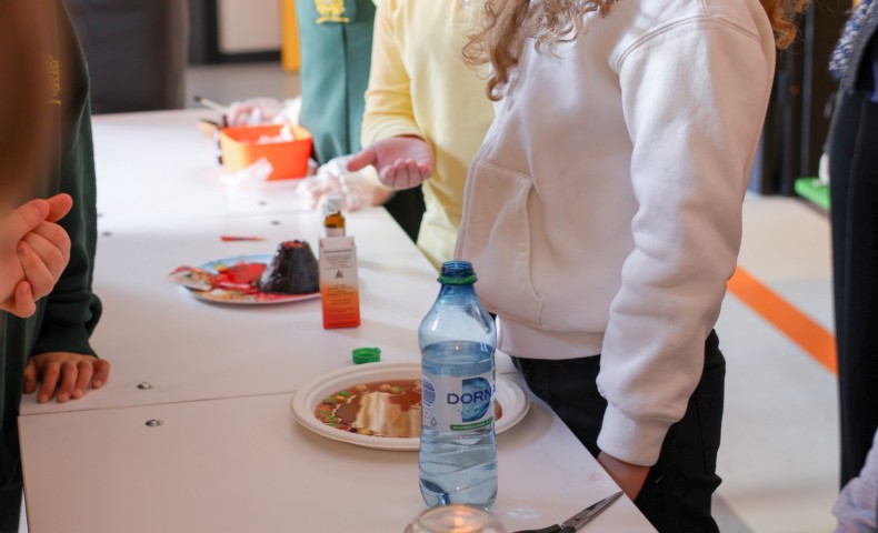 Science Fair 2025 - image 57