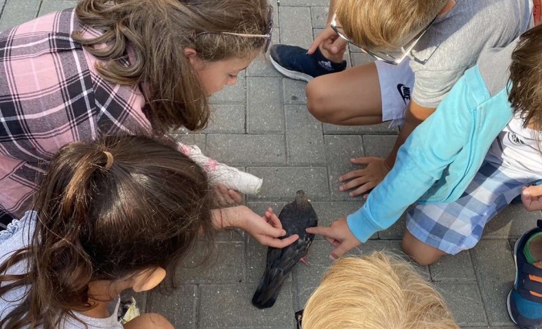 Международный Летний Лагерь 2022 – Cессия „Inside out” - image 26