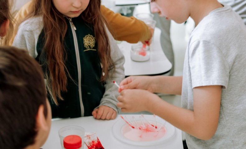 Science Fair 2025 - image 70