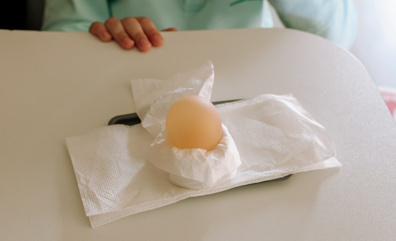 Science Fair 2025 - image 8