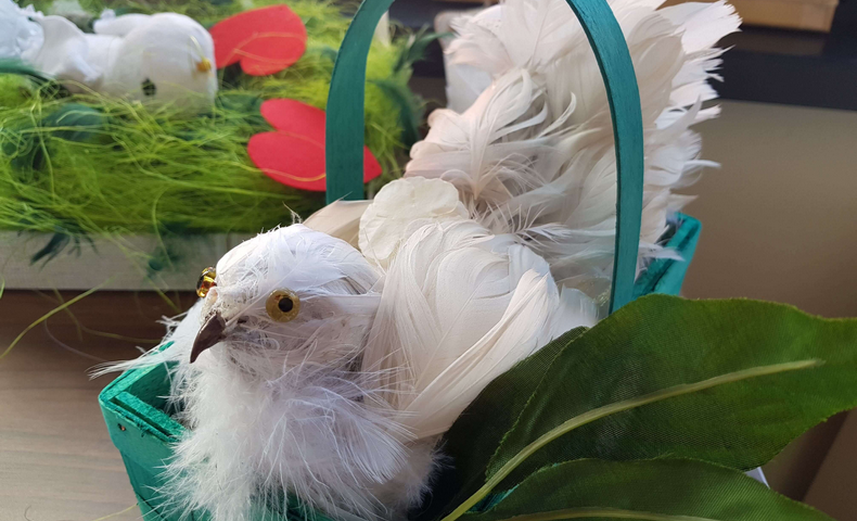 International Peace Day - image 20