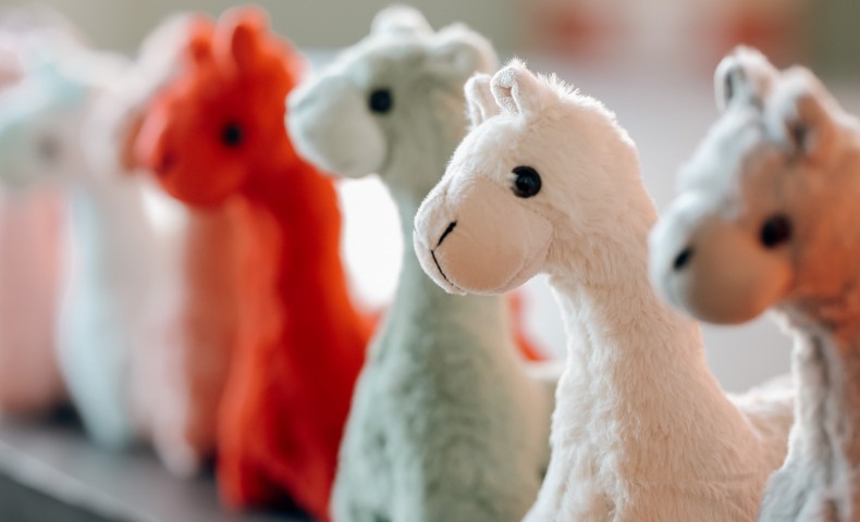 The World Scholar's Cup - image 93