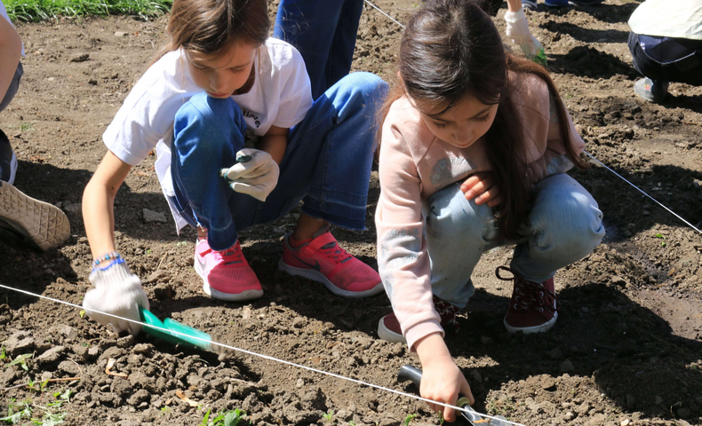 Earth Day - image 33