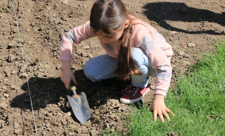 Earth Day - image 31