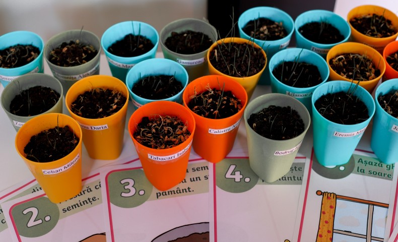 Science Fair 2025 - image 54