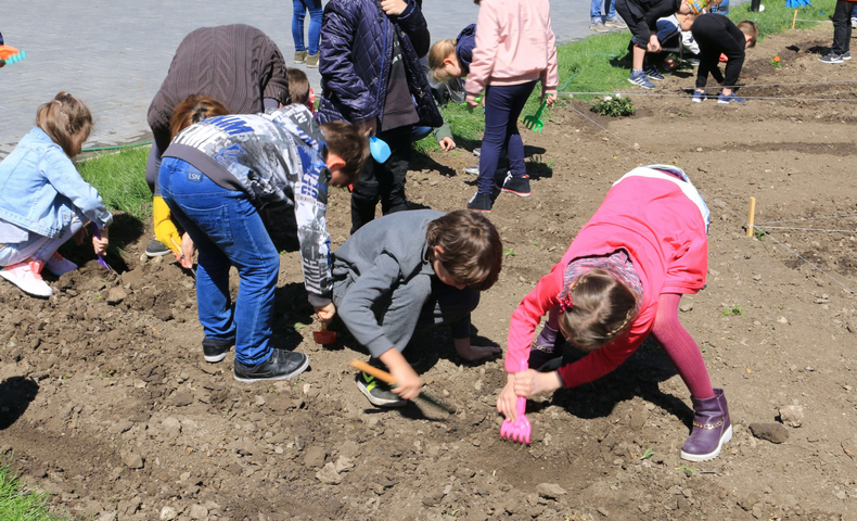 Earth Day - image 37