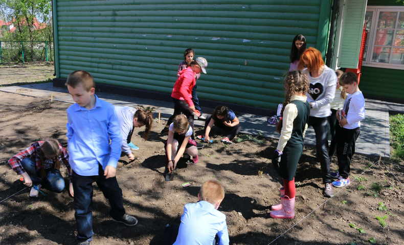 Earth Day - image 20