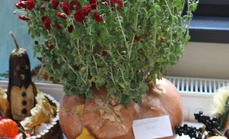 "Golden Autumn" 2018 - image 64