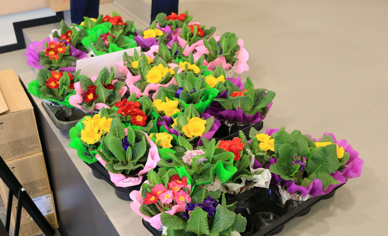 8 March 2018 - image 37