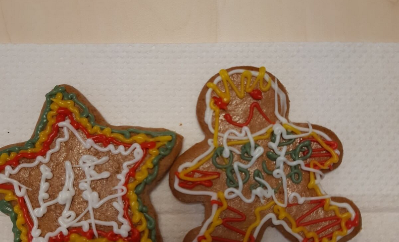 "Santa's Workshop" for Heritage Community - image 95