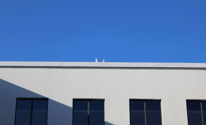 International Peace Day - image 42