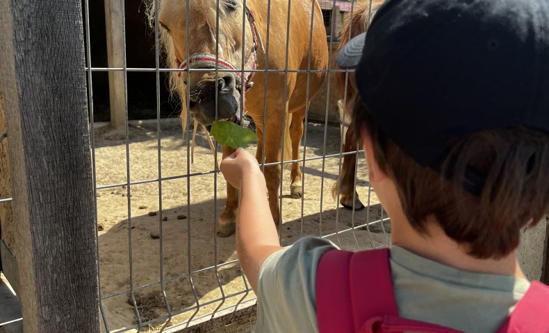 Международный Летний Лагерь 2022 – Cессия „A ticket to…” - image 95