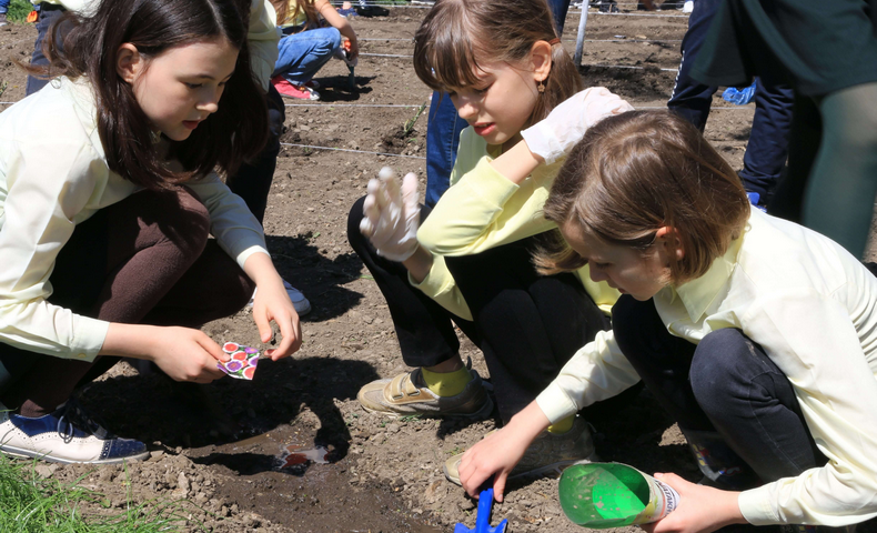 Earth Day - image 39