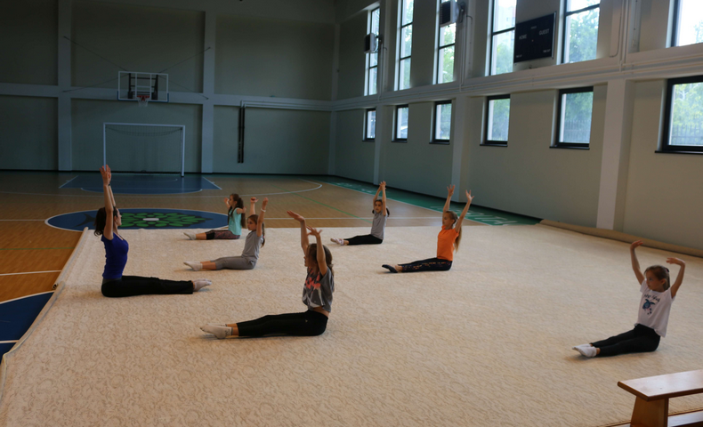 Gymnastics - image 3