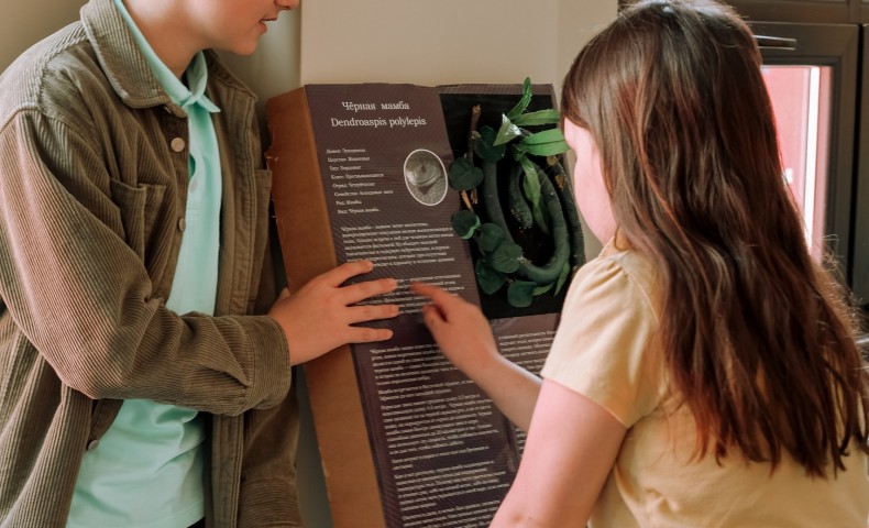 Science Fair 2025 - image 36