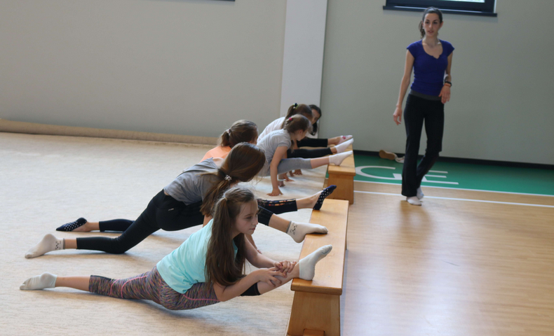 Gymnastics - image 13