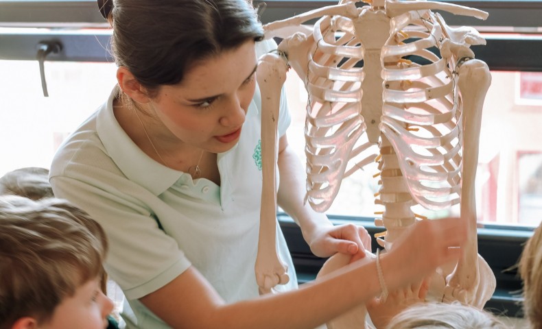 Science Fair 2025 - image 13