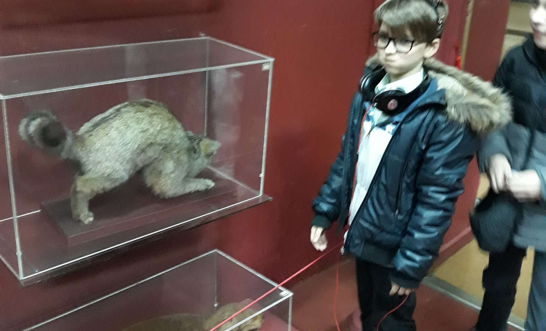 Mărţişor 2018 - image 7