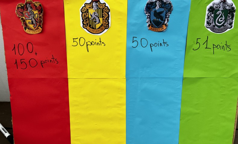 Международный Летний Лагерь 2022 – Cессия „Harry Potter” - image 28