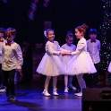 Christmas Show 2024 - thumb image 10