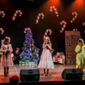 Christmas Show 2024 - thumb image 165