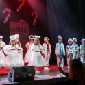 Christmas Show 2024 - thumb image 236
