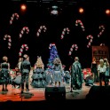 Christmas Show 2024 - thumb image 125