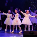 Christmas Show 2024 - thumb image 14