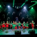 Christmas Show 2024 - thumb image 205