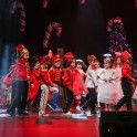 Christmas Show 2024 - thumb image 233