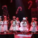 Christmas Show 2024 - thumb image 232